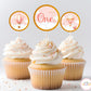 Hot Air Balloon Pink Cupcake Topper