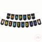 Mad Scientist Boy Bunting