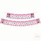 Minnie Mouse Bunting