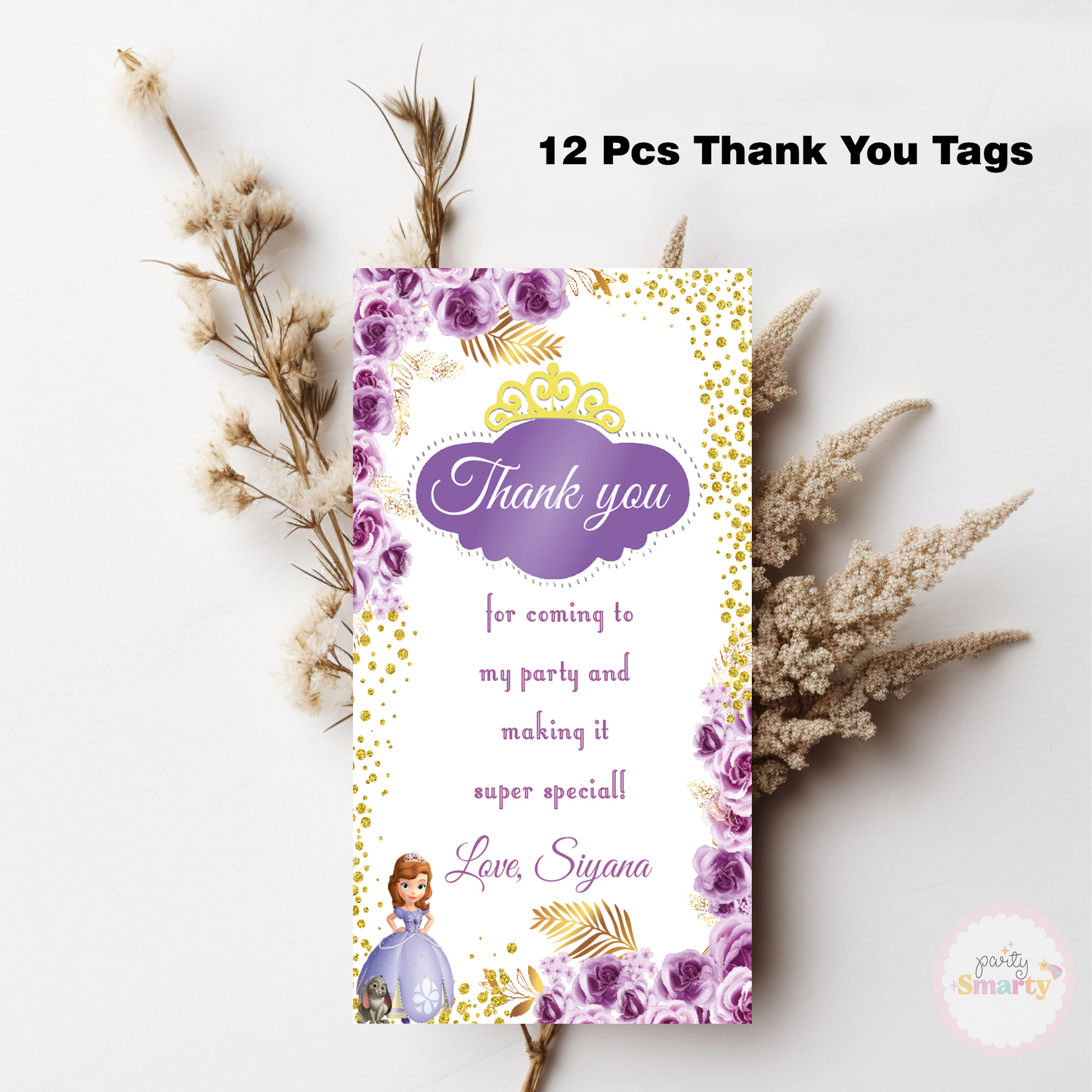 Sofia The First Smarty Saver 90 Piece Combo